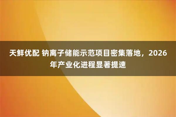 天鲜优配 钠离子储能示范项目密集落地，2026年产业化进程显著提速
